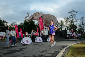 BIB: 
                            <button type="button" onclick="openModal(26529407)" class="btn btn-primary btn-sm float-right btn-popup" data-toggle="modal" data-target=".modal-high-quality">
                        <i class="fas fa-shopping-cart"></i> Add to Cart
                    </button>
                                            <button type="button" onclick="isThisMe(26529407, true)" class="btn btn-success btn-sm float-right btn-popup btn-isme hidden" data-toggle="tooltip" data-placement="bottom" title="นี่คือรูปของคุณใช่ไหม คลิกที่นี่เพื่อเอาเข้าอัลบั้ม">
                        <i class="fas fa-plus"></i> Add to album
                    </button>
                    <button type="button" onclick="isThisMe(26529407, false)" class="btn btn-warning btn-sm float-right btn-popup btn-isnotme hidden">
                        <i class="fas fa-ban"></i> Remove from album
                    </button>